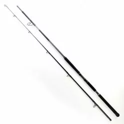Shimano BeastMaster Catfish Static 300cm -300g