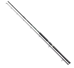 Cormoran Big Cat Pro Long Range 330cm 200-600g