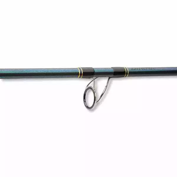 Daiwa Saltist Sea 215 Cm 40-110g 5 Daiwa Saltist Sea 215 Cm 40-110g – Bild 5